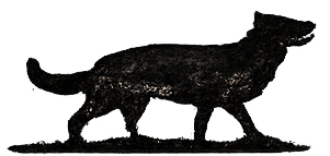 Asset 9